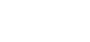 Viking logo