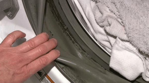 washing machine smells bad