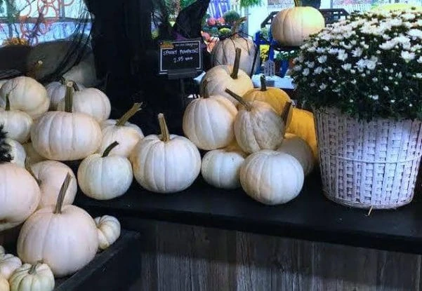 pumpkin patch near st louis