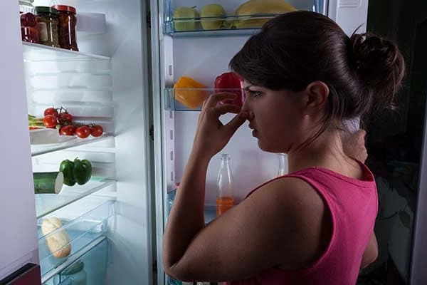 refrigerator ice tastes bad